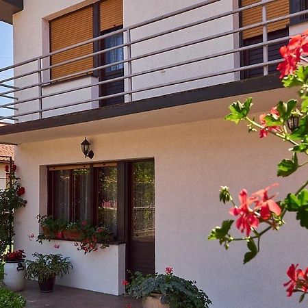Milica Villa Banja Koviljača Exterior foto