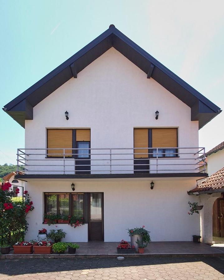 Milica Villa Banja Koviljača Exterior foto